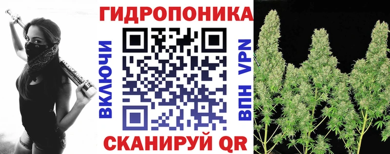 Бошки Шишки план Кизел